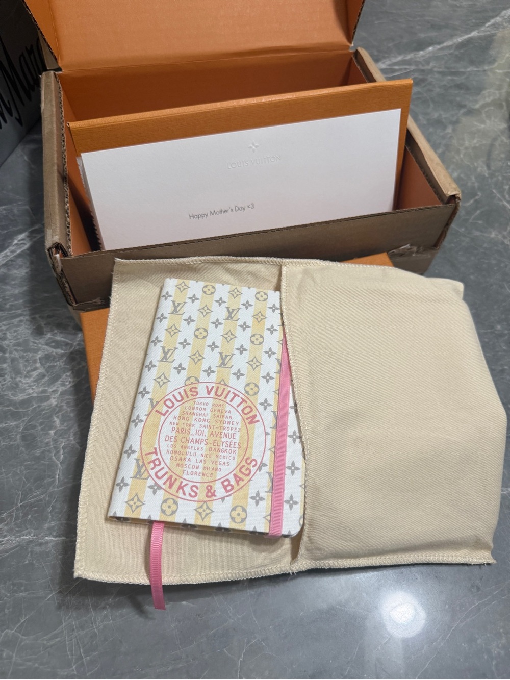 Authentic Louis Vuitton Jane Notebook Resort Collection PM size